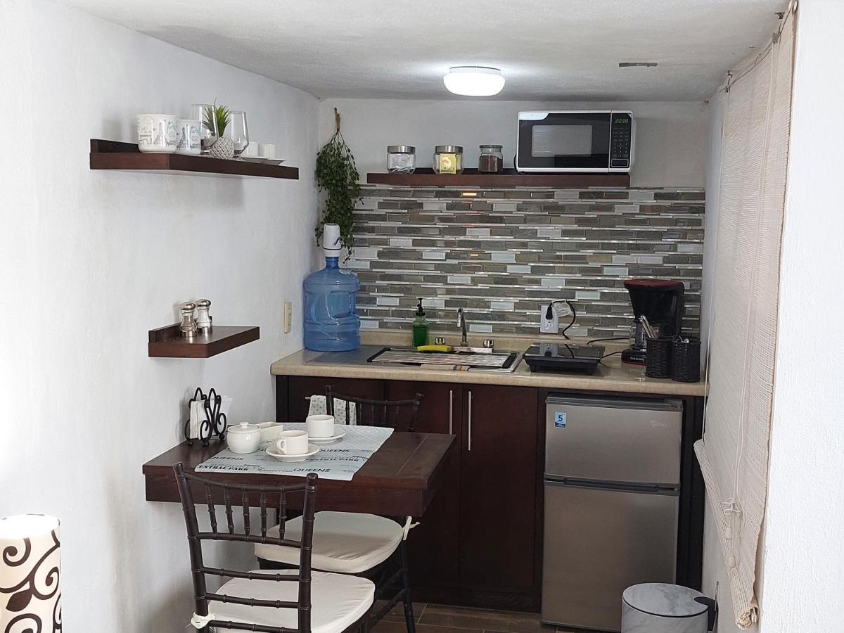 サカテカスNuevo Depa #7 Tipo Loft En Planta Alta En Centro Historicoアパートメント エクステリア 写真